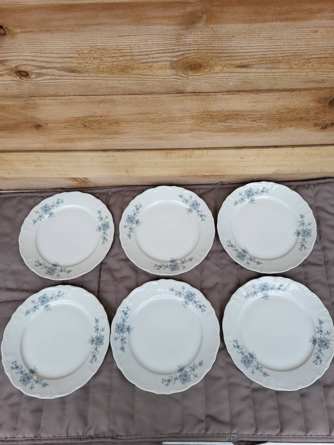 Set of 6 Bavarian porcelain flat plates Germany Winterling forget-me-not decor.