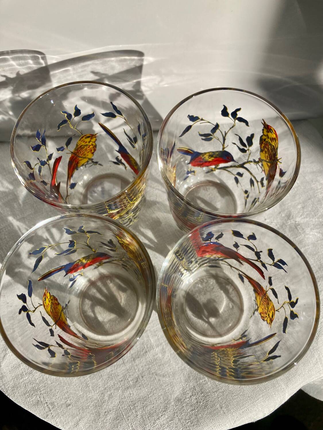 Set of 4 bird-patterned water glasses