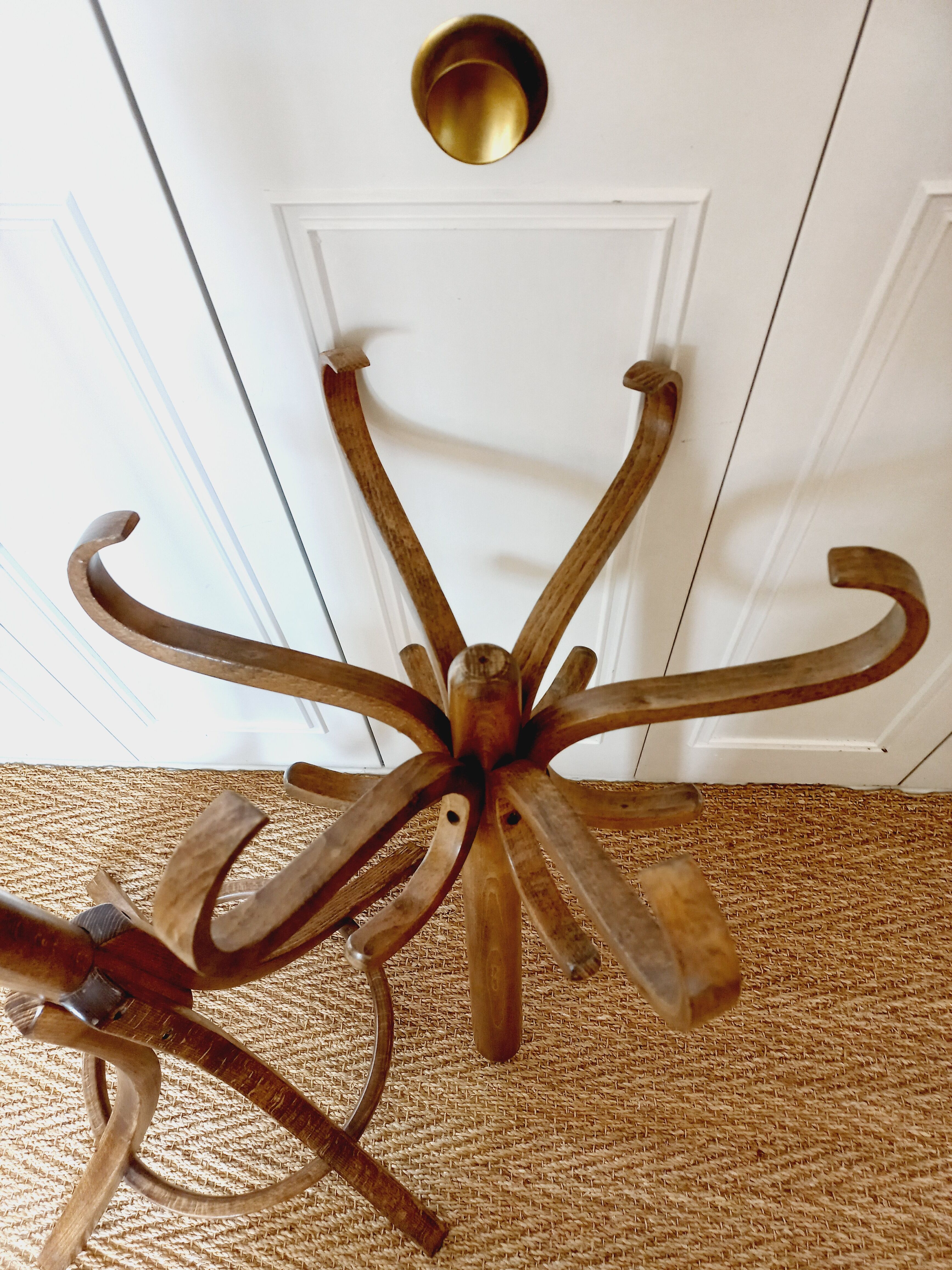 Baumann parrot coat rack