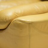 Carrera lounge chairs by Decursu De Pas D’Urbino Lomazzi for BBB Bonancina