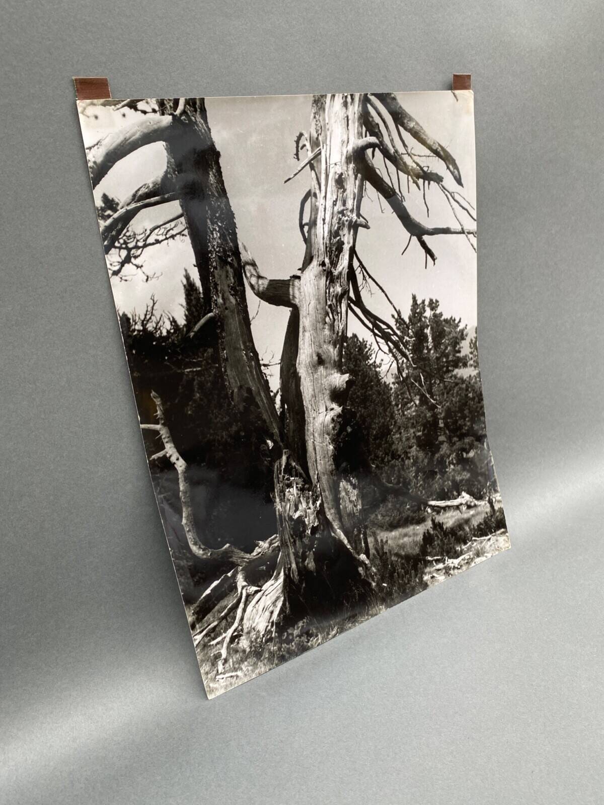 Photographie argentique Bernard Darot Les Vaincus XXe AFIAP