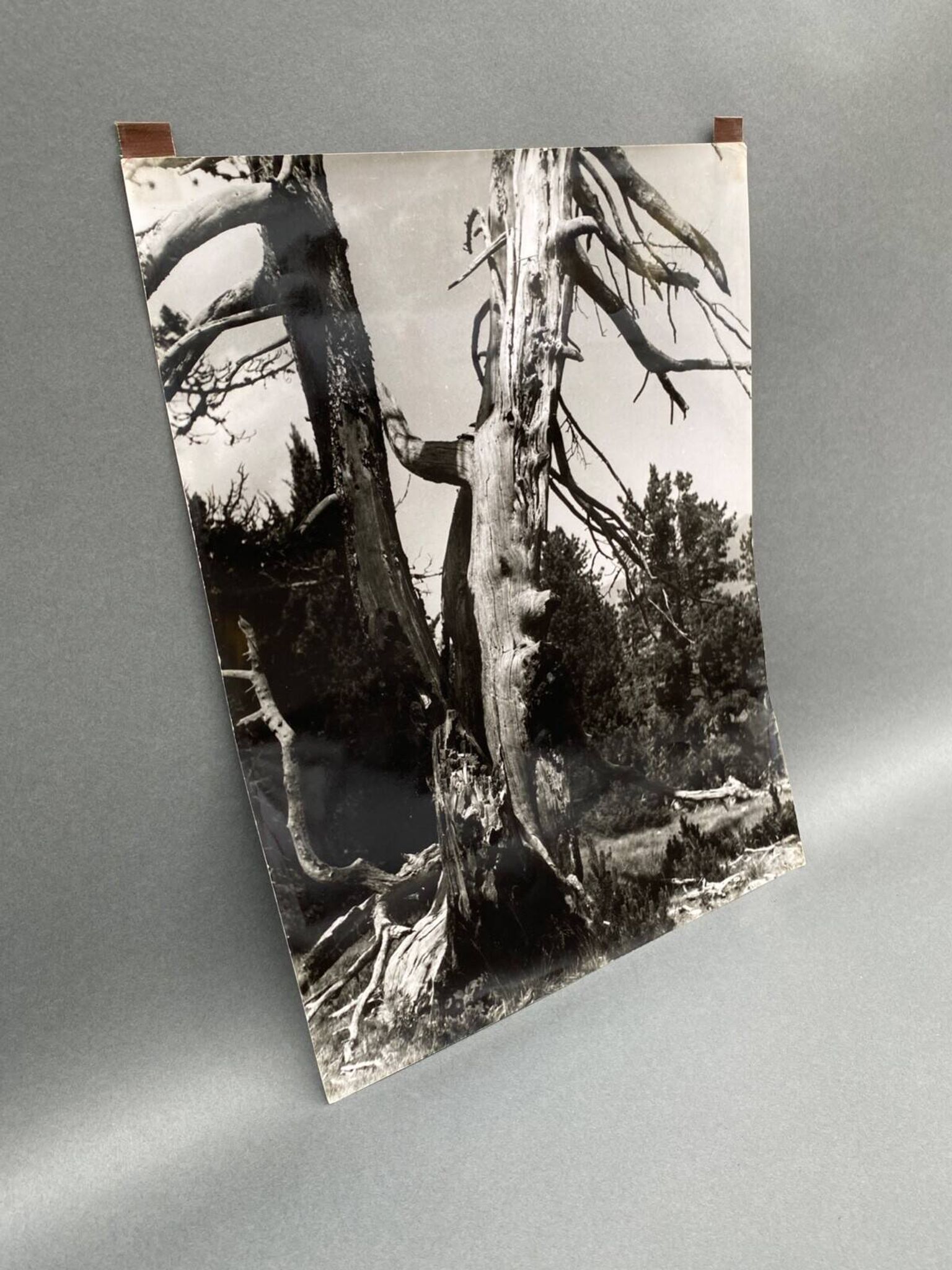 Photographie argentique Bernard Darot Les Vaincus XXe AFIAP