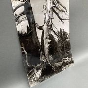 Photographie argentique Bernard Darot Les Vaincus XXe AFIAP