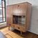 display cabinet/storage unit