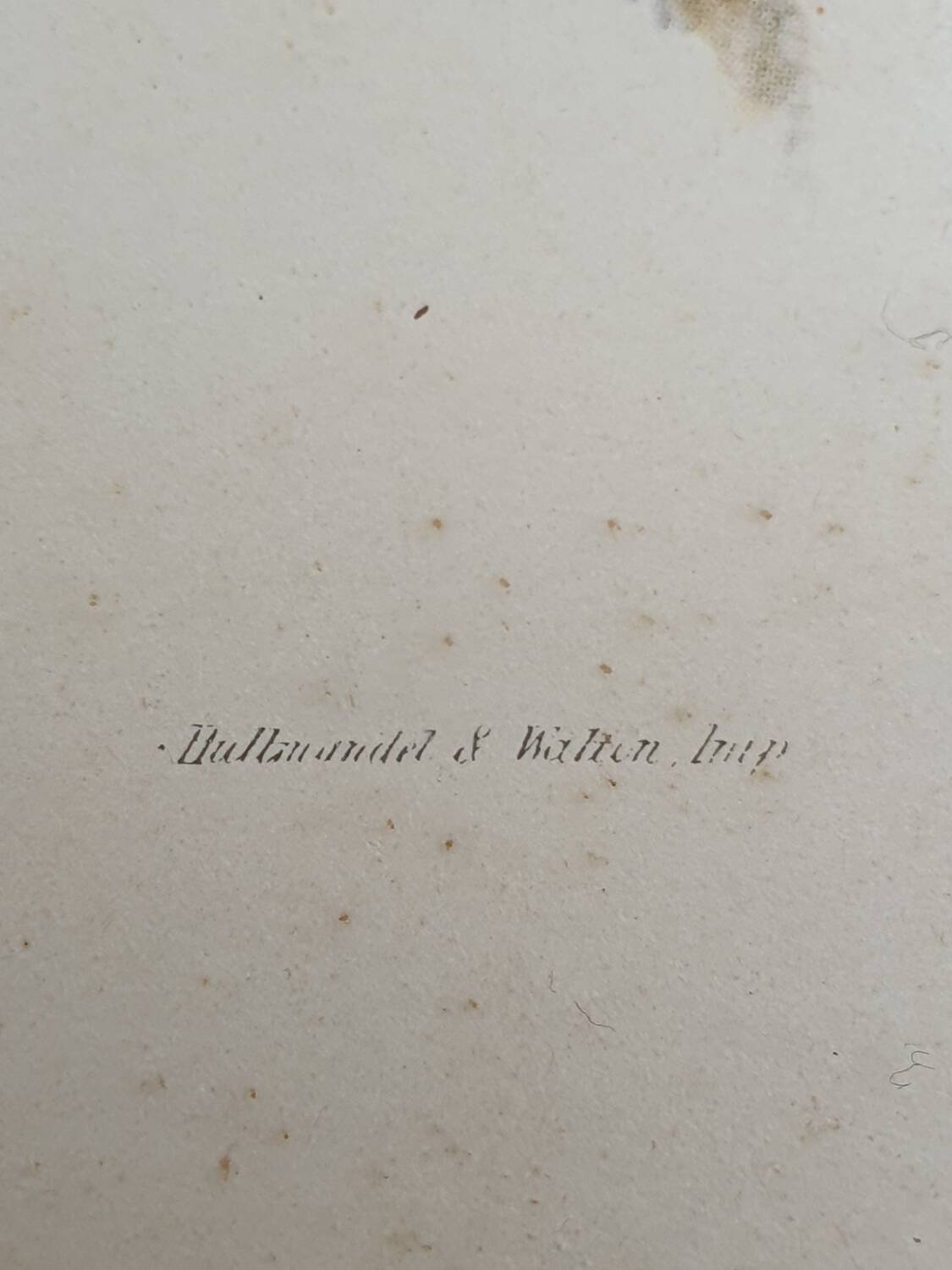 Hummingbirds Lithograph Duo