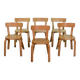 Rare ensemble de 6 chaises Alvar Aalto modèle 69 pour Artek