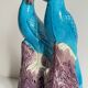 Pair of phenix birds chinese porcelain early 20th century