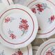 Dinner plates x6, Ceranord, Semi French Porcelain from the late 1950s