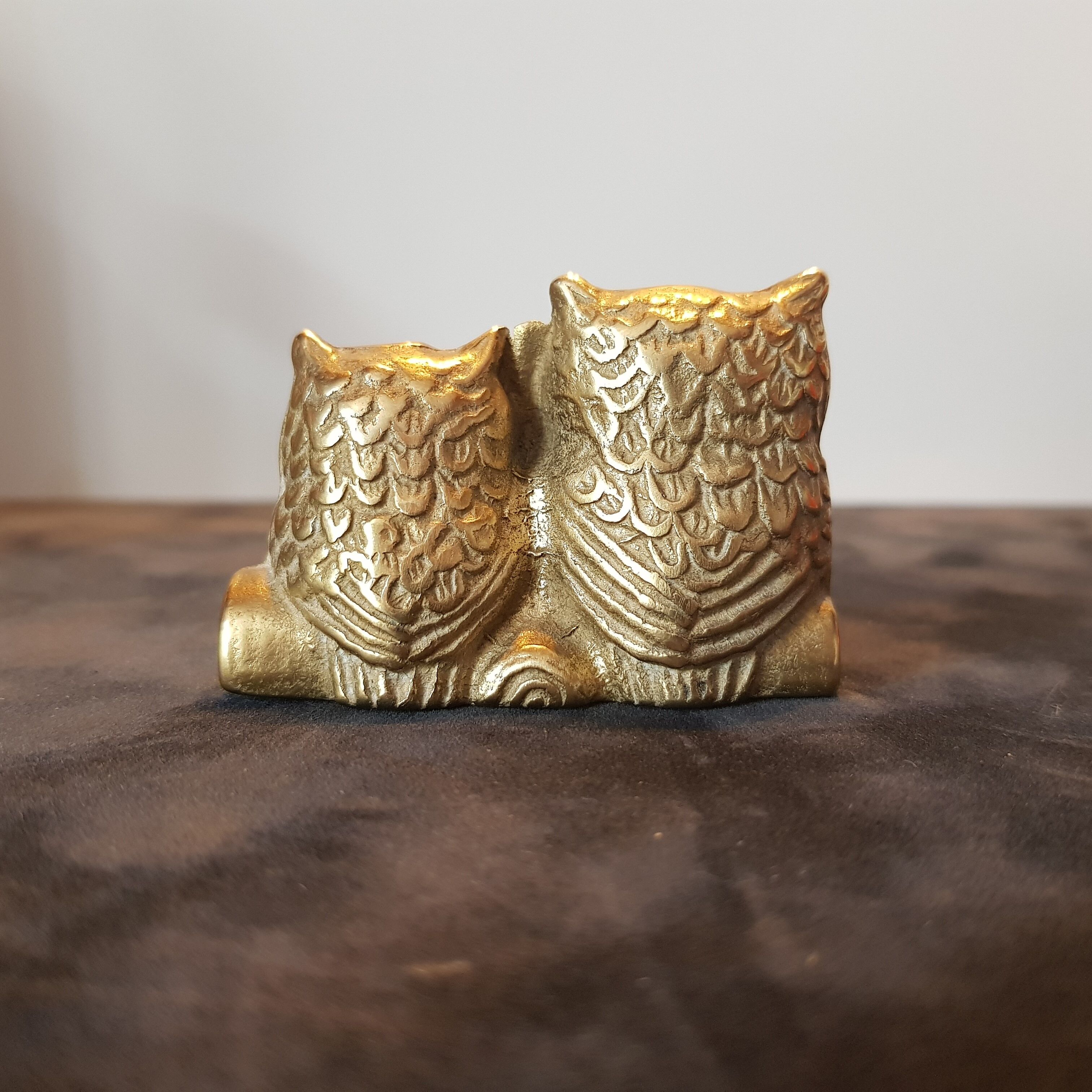 Couple de chouette et hibou aiton