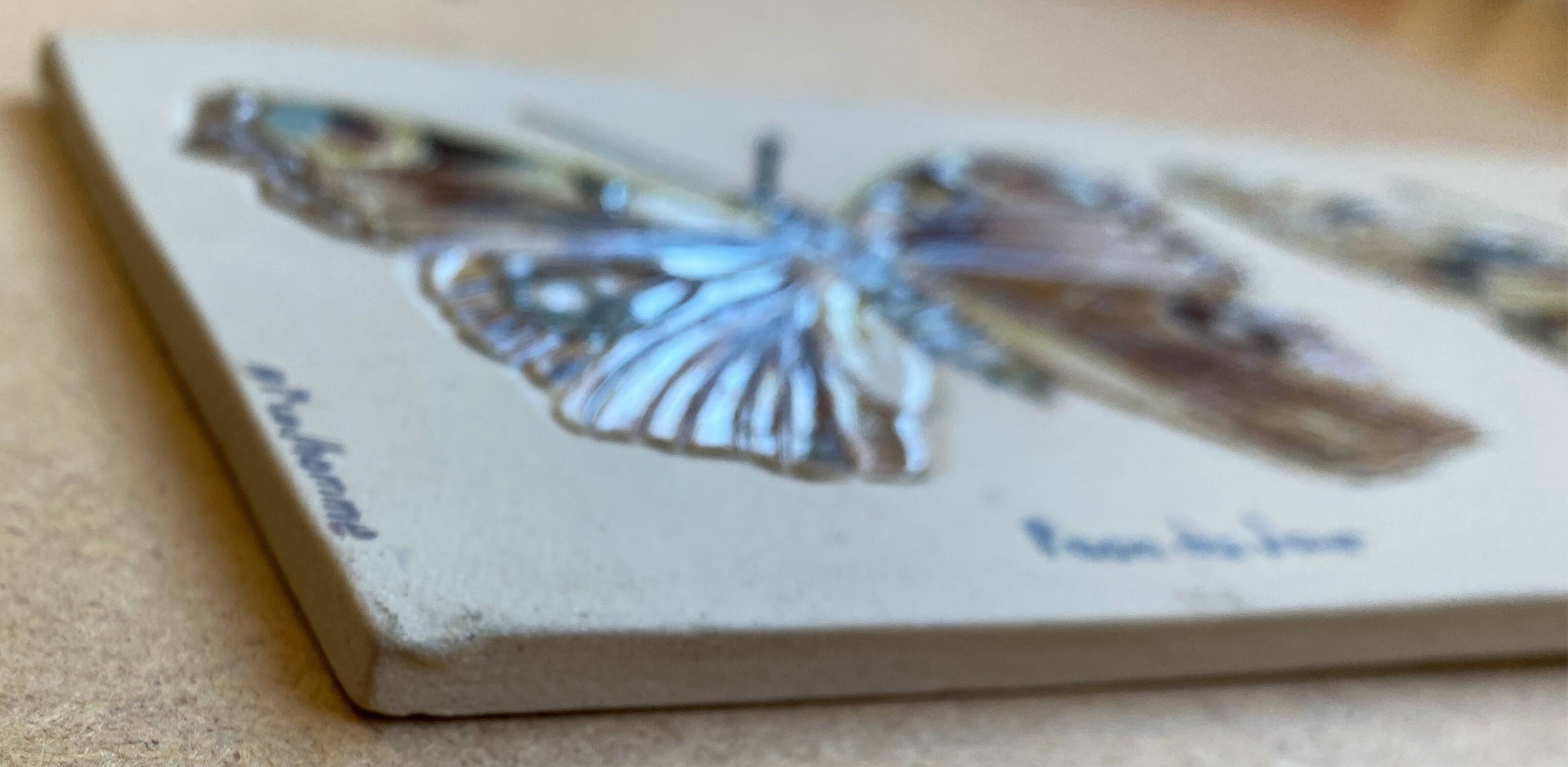 Bas relief painting / earth lepidopterology Butterflies A. Prudhomme Curiosity cabinet