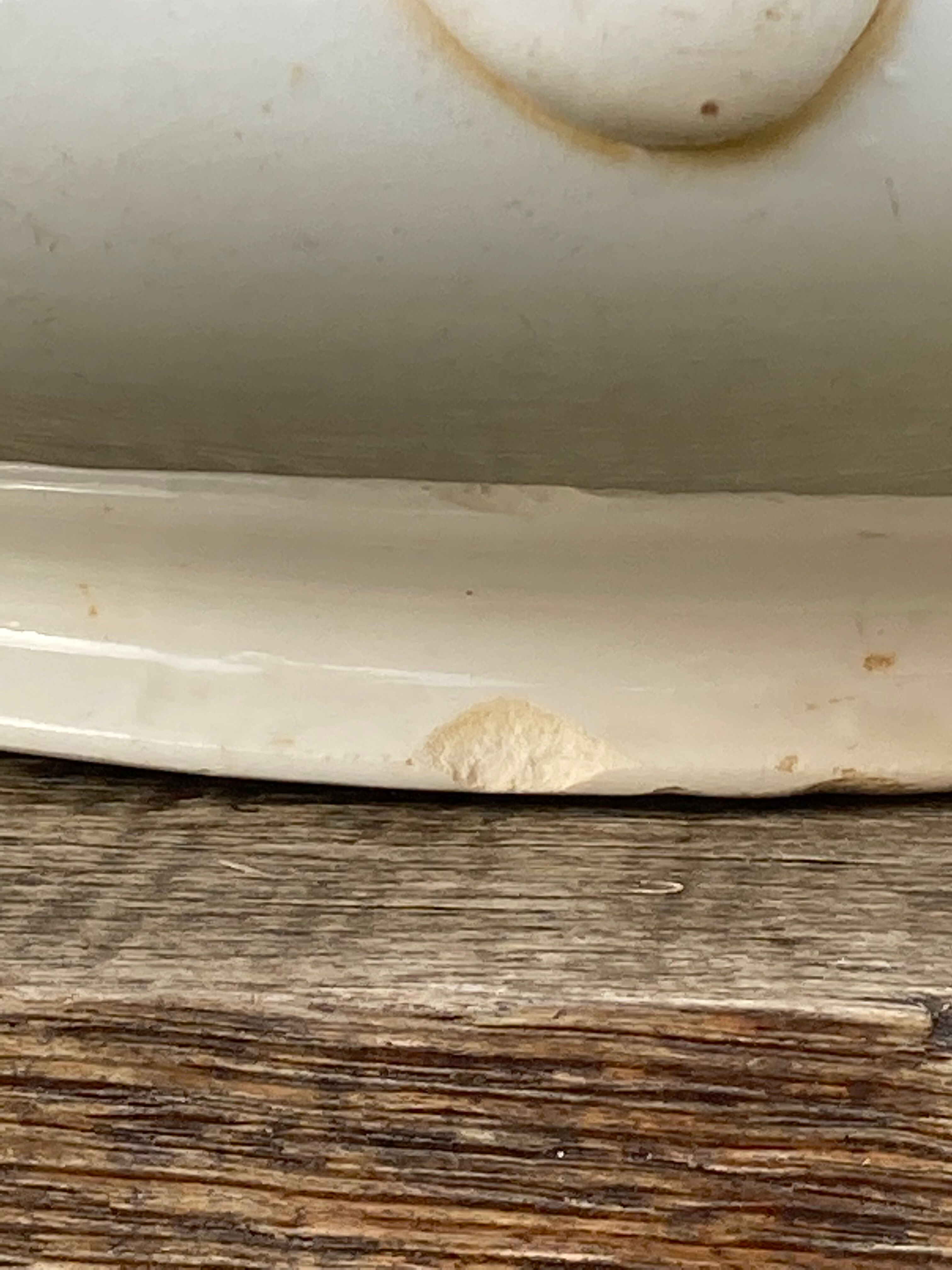 Iron earth tureen Saint Amand Guadeloupe ancient ceramic