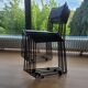 6 chaises Spaghetti de Giandomenico Belotti