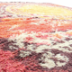 Carpet of Scandinavian style Ege Rya 1970 s