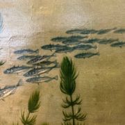 Affiche scolaire en lin vintage – Poissons d'eau douce