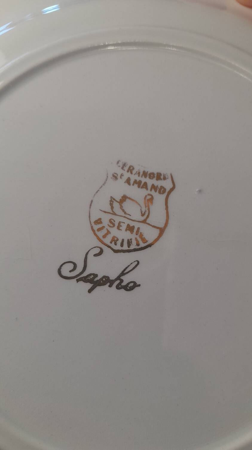 Set of 11 Ceranor St Amand Semi Vitrified Sapho plates