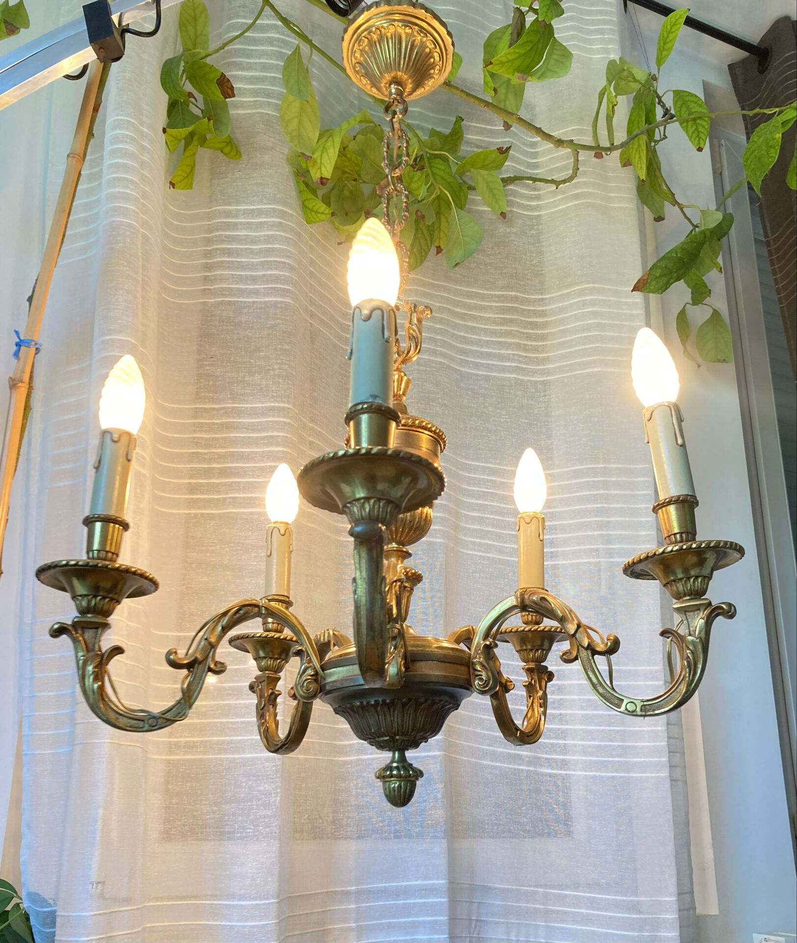 Louis XV style chandelier from the mid-20th century in solid gilded bronze.