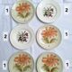 Assiettes à dessert avec fleurs St Amand et Galluis