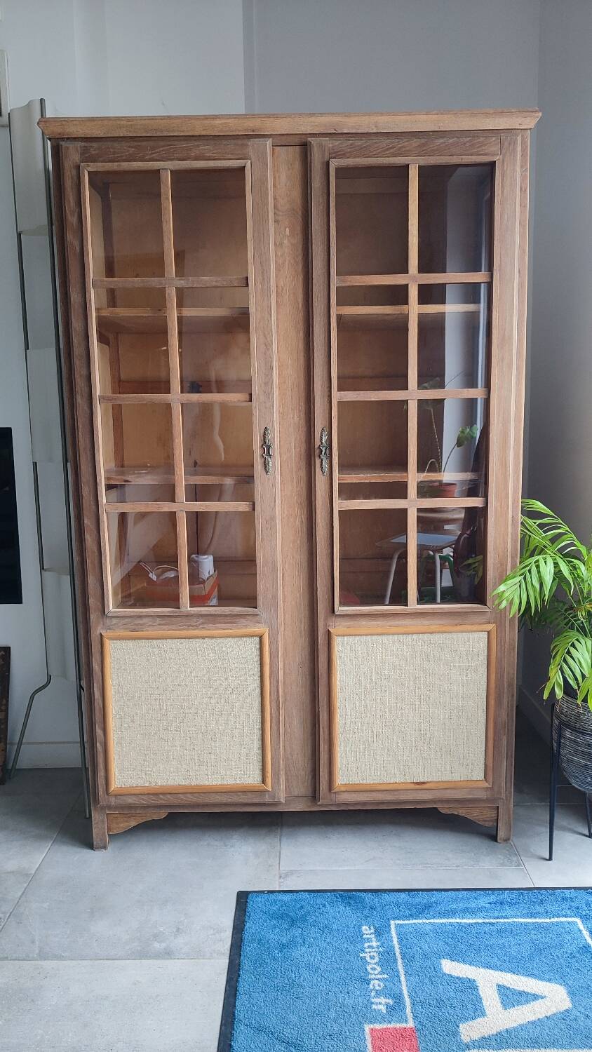 Parisian cabinet display case