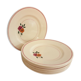 Set of 11 hand-painted earthenware plates