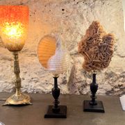 Tonna Galea shell on a turned wooden base, late 19th century curiosities.