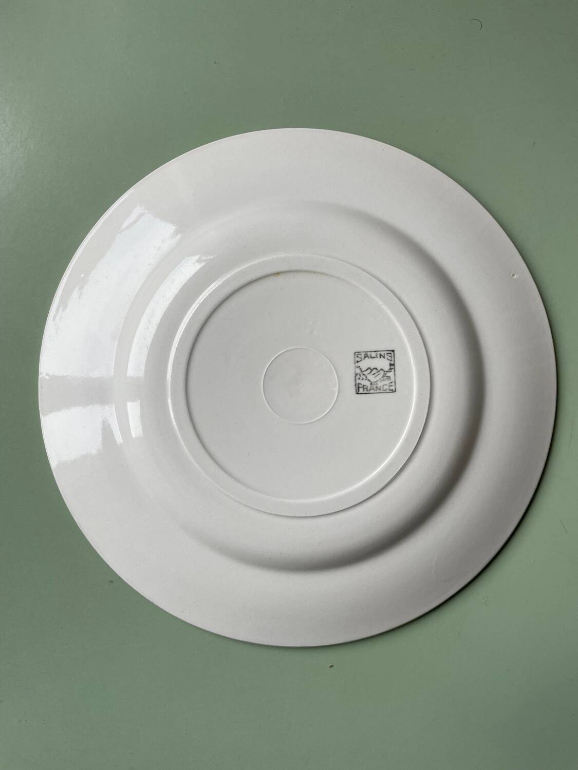 Dinner Service Year 50/60 Earthenware of Salins 53 Pieces Mint Black