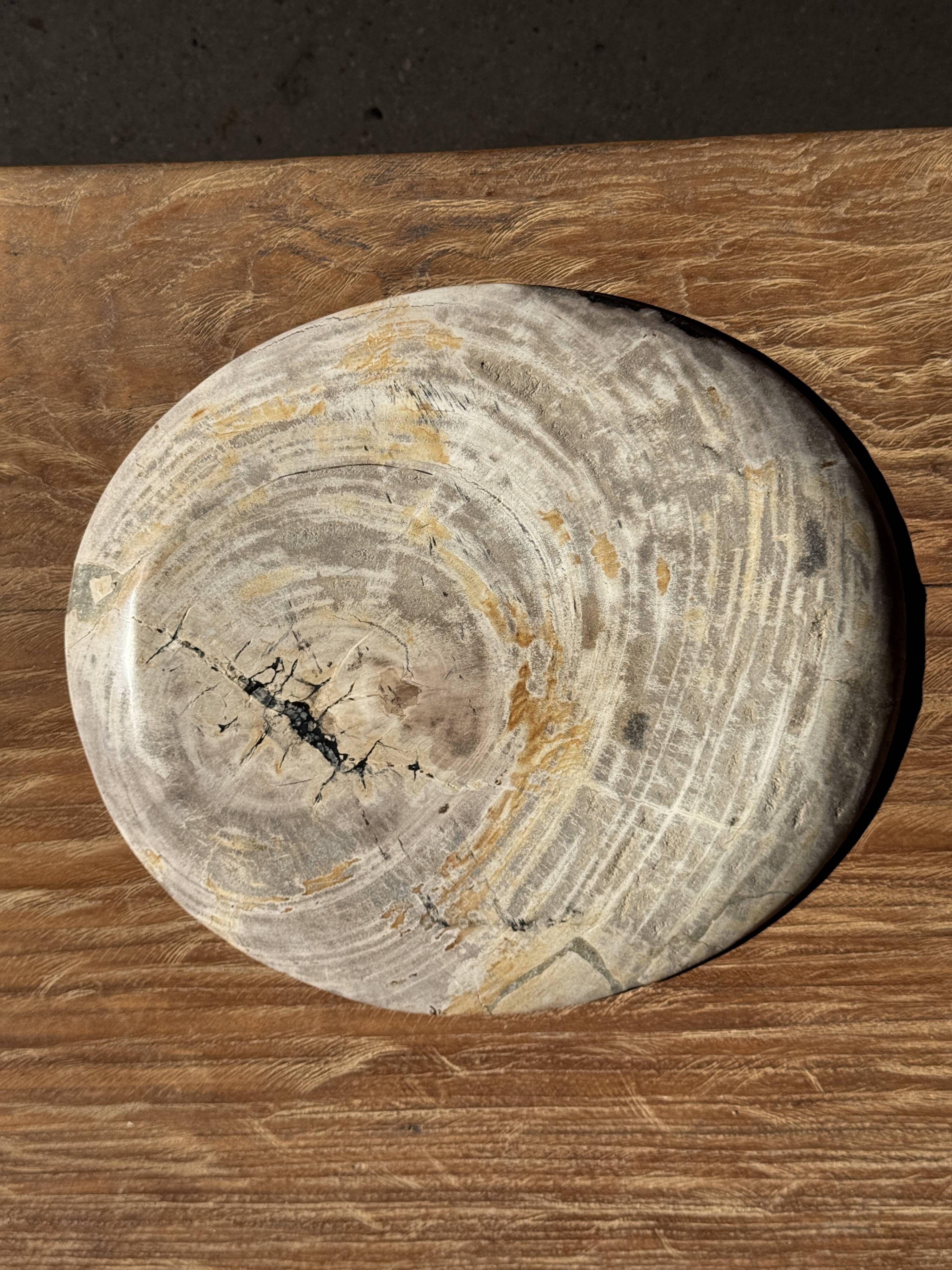 Petrified wood catchall or dish, grey with black rim, D29.5x25.5 -3321