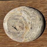 Petrified wood catchall or dish, grey with black rim, D29.5x25.5 -3321