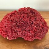 Red coral