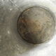Old bucket coal zinc old zinc coal bucket zinkkohleeimer rustic decoration