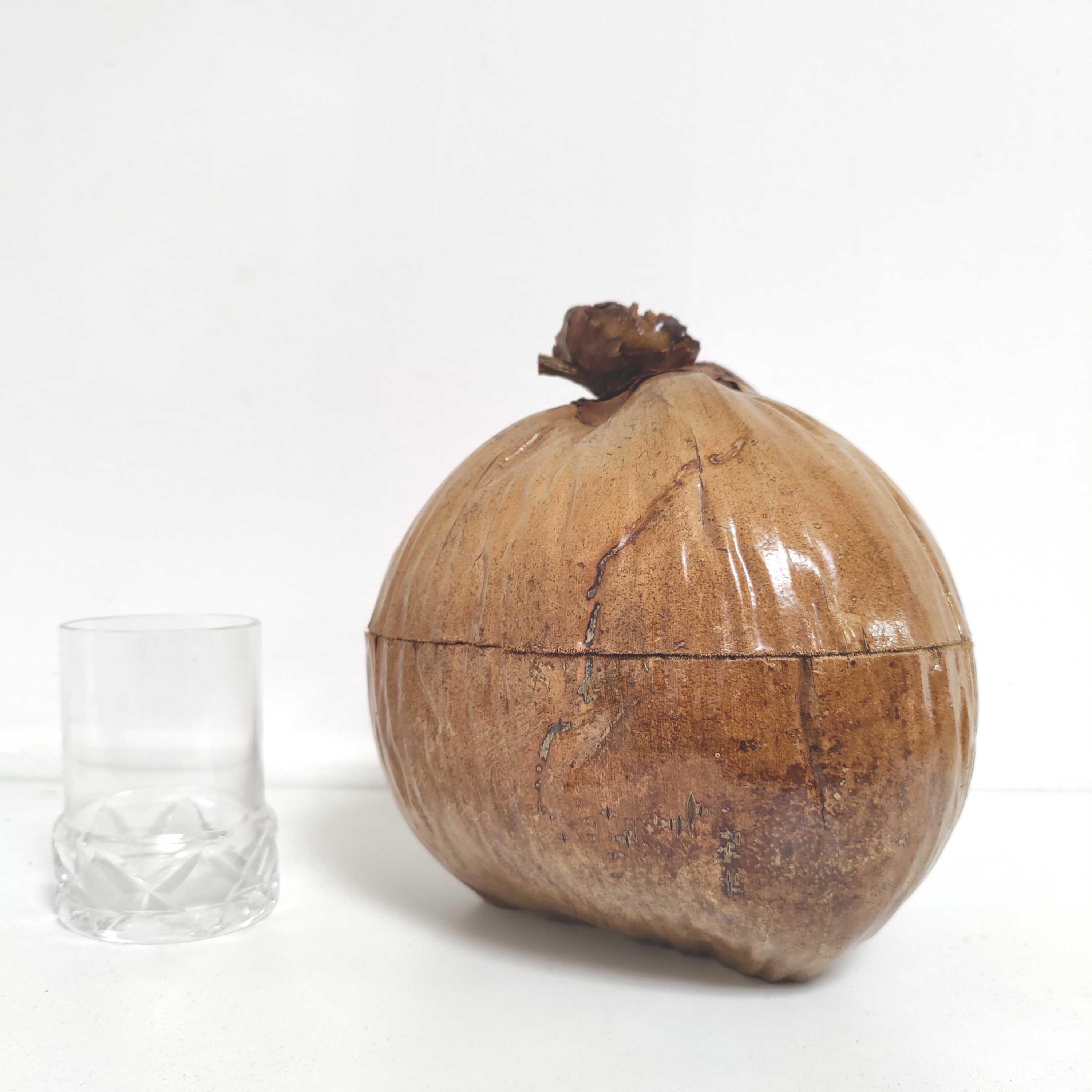 Vintage coconut ice bucket