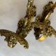 Gilded bronze hook nineteenth, Louis XVI, chimera decoration