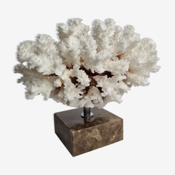 Ancien corail blanc en branches sur socle, 23 cm