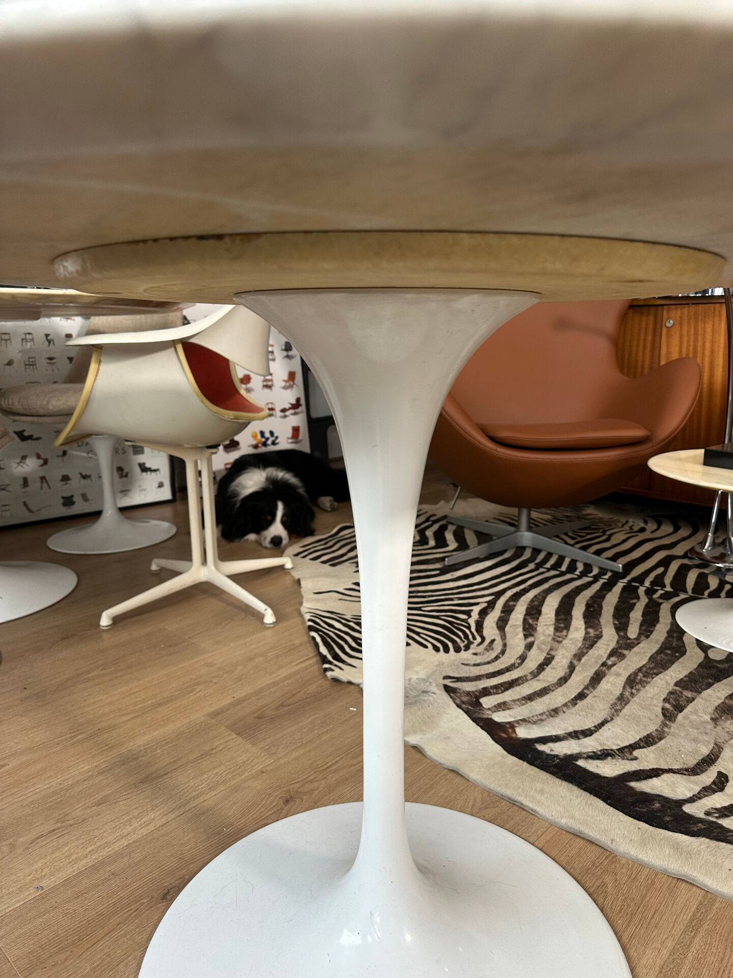 Table à manger tulipe Eero Saarinen pour Knoll