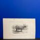 Vintage landscape painting