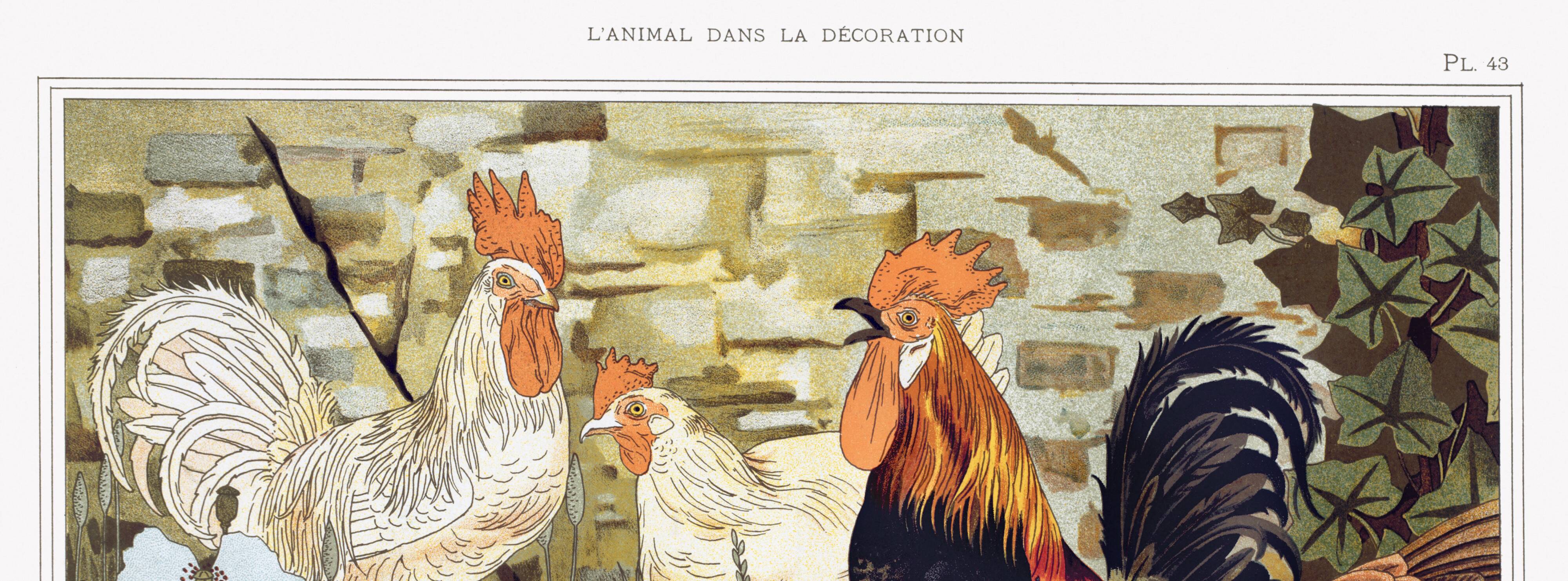 Poster “Roosters and Hens”, after an Art Nouveau lithograph from 1897