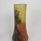 Enamelled glass vase Francois Theodore Legras