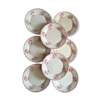 8 flat plates iron earth U&C Sarreguemines Digoin " Margot"
