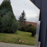 Mirror art deco 1930 75x100cm