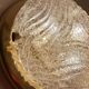 Vintage Murano Glass Flush Mount Light, 1970s