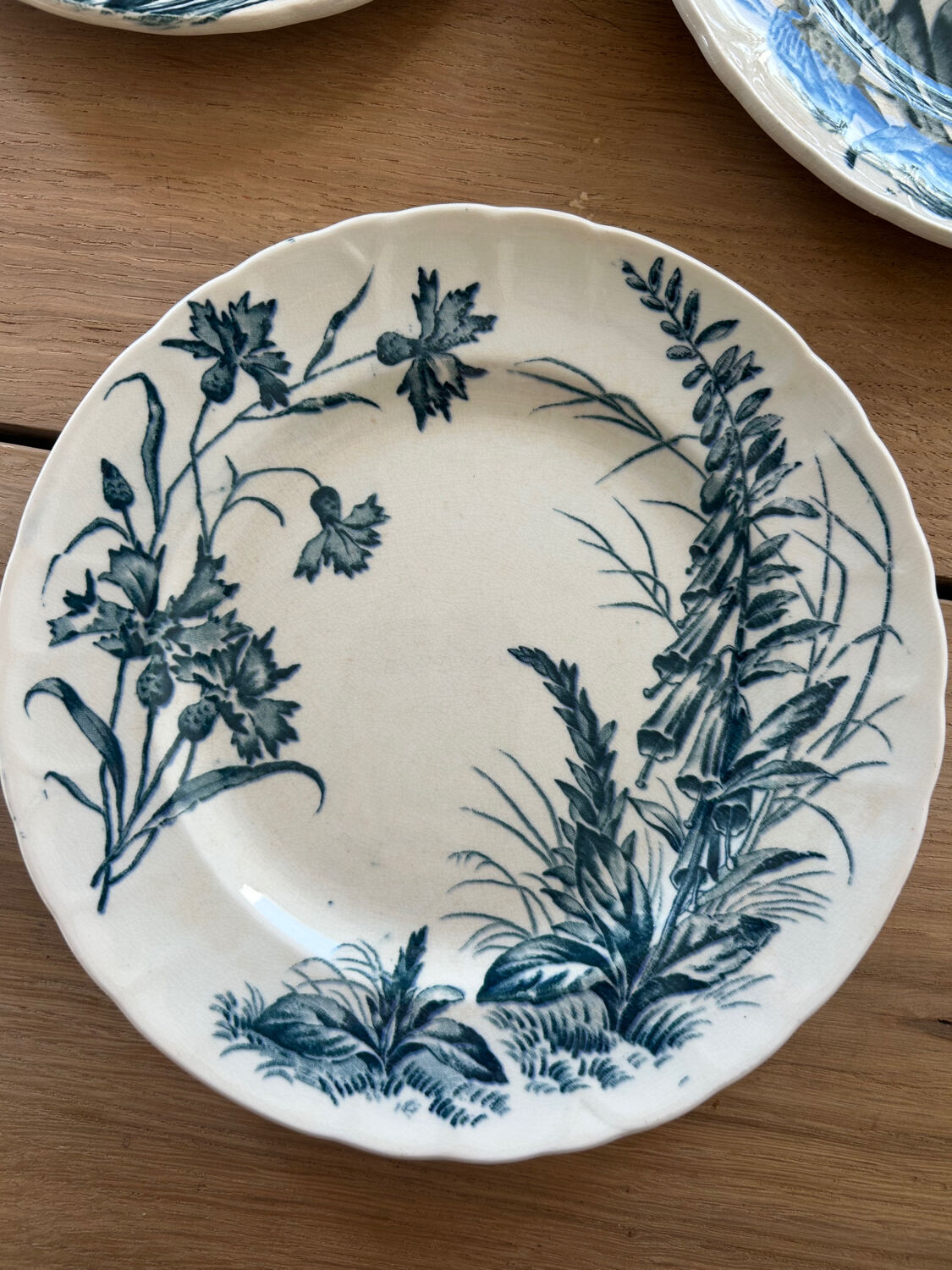 Set of 5 dessert plates Terre de fer Jules Vieillard