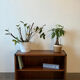 Petit meuble d’appoint ( tv ou chaussures )
