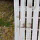 Pair of iron and old wood garden chairs