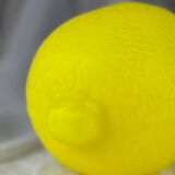 Lemon glass paste lampshade