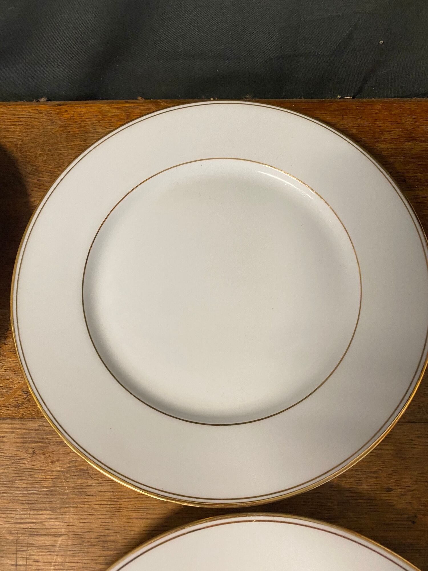 6 assiettes plates porcelaine de Limoges Salmon & Co
