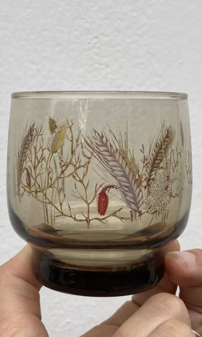 8 country water glasses