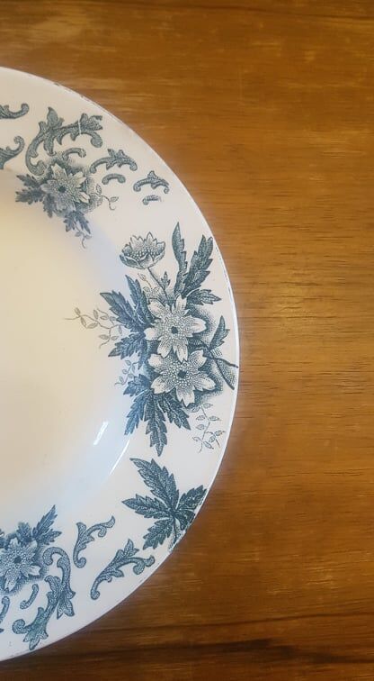 Plate in Iron Earth Saint Amandinoise model Anémone