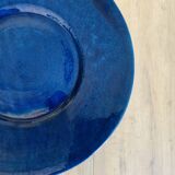 Large blue biot dish