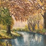 Forest landscape and its stream
