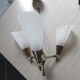 Lustre year 50