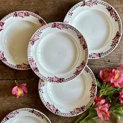 Set of 6 antique deep plates - Saint Amand Céranord
